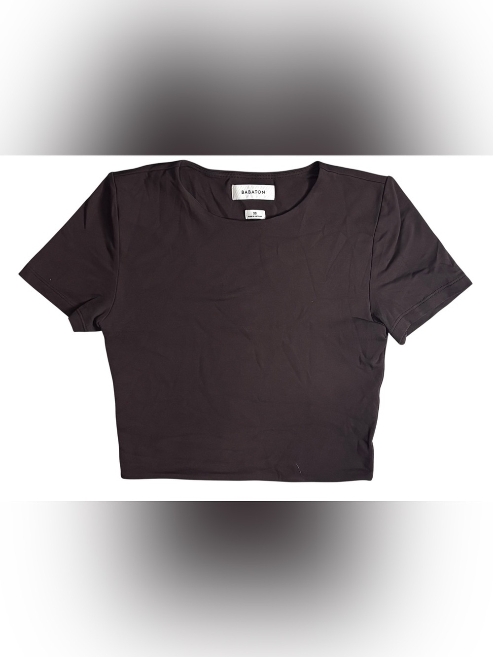 Aritzia Babaton Brown Crew Neck Crop Top XS Minimalist Stretch Tee